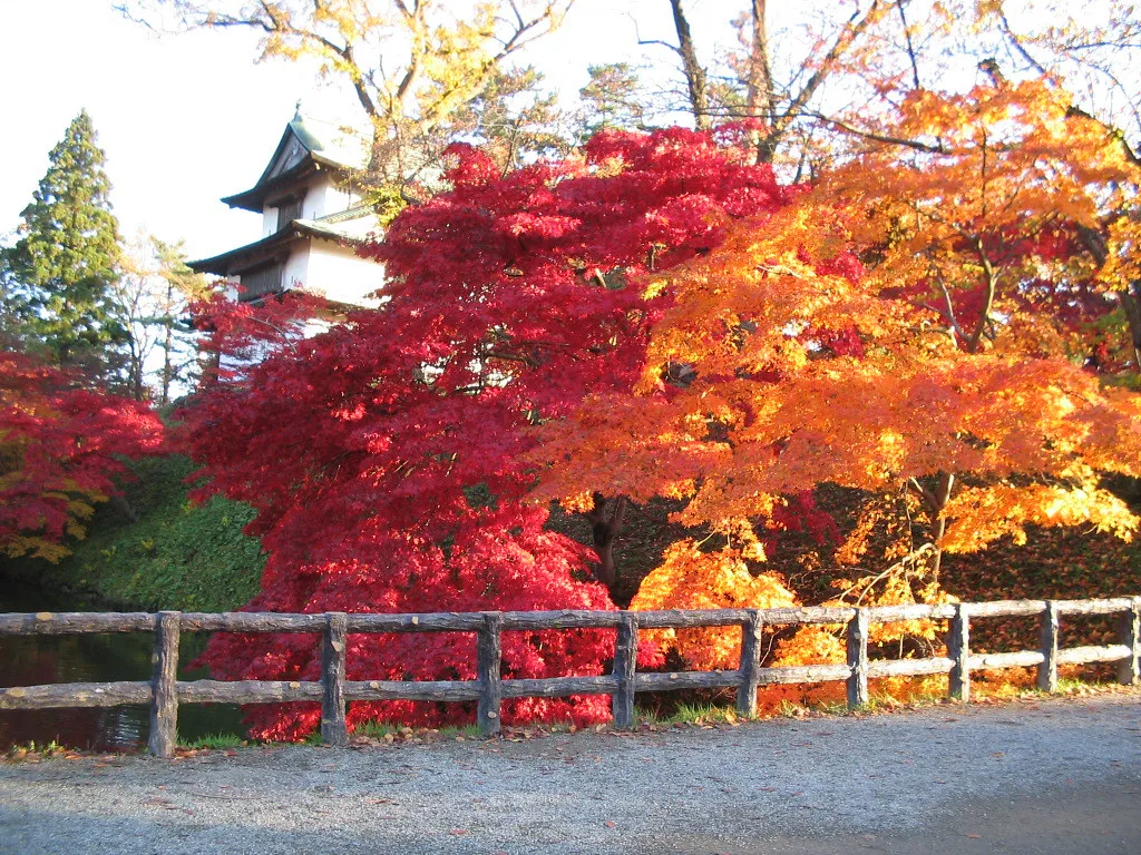 Hirosaki autumn foliage castle — Hirosaki, Japan