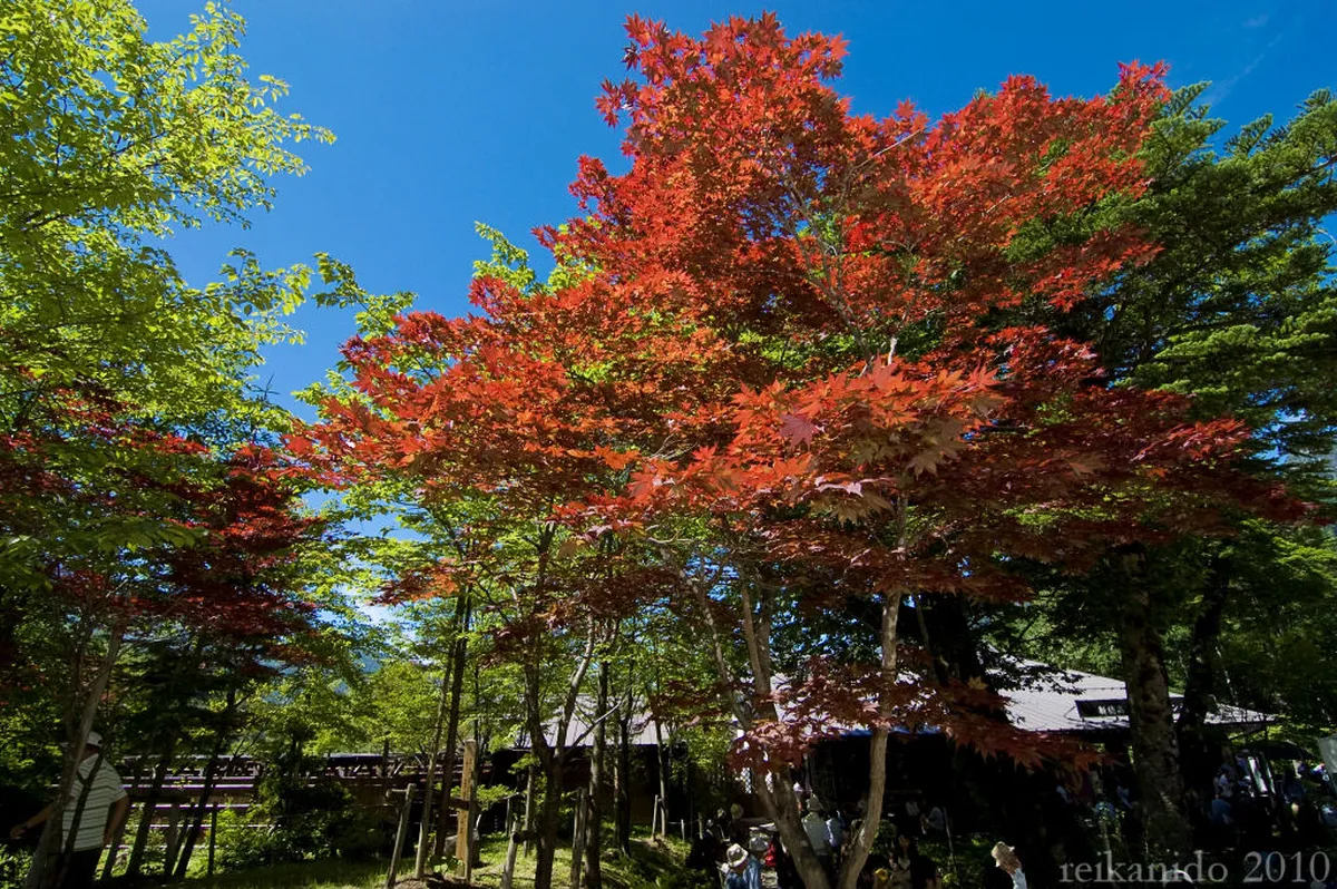 Summer and Autumn in the Japan Alps