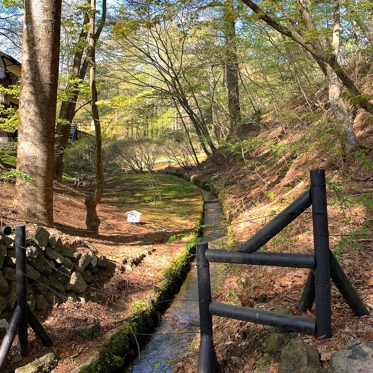 Karuizawa in Autumn: Peak Foliage from Late October — Karuizawa