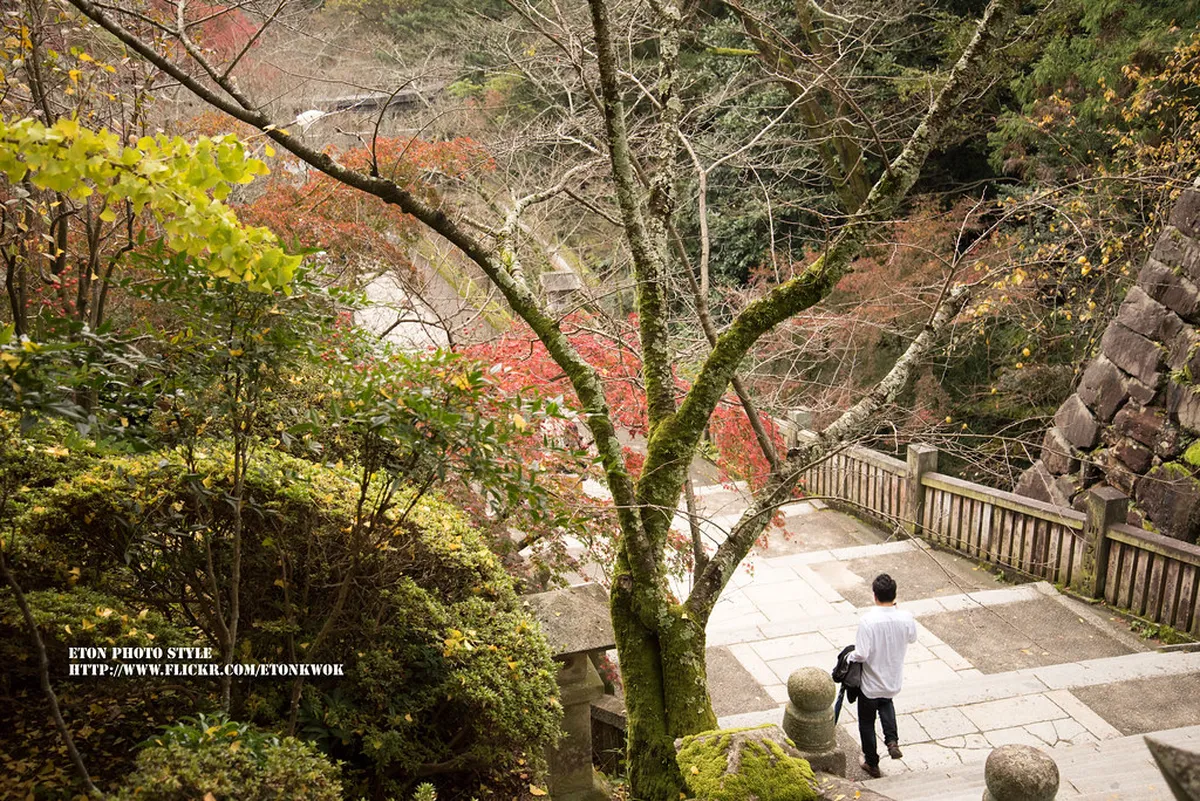 Summer, Autumn, and Winter at Kotohira-gu