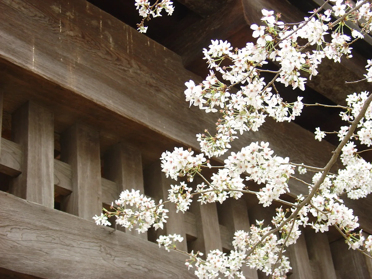 Matsuyama Weather and Climate by Season — a scene in Matsuyama