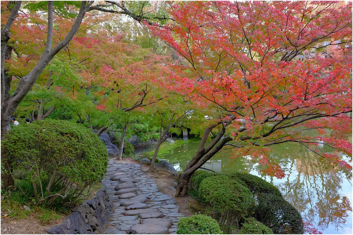 Osaka autumn castle — best time to visit osaka in Osaka, Japan