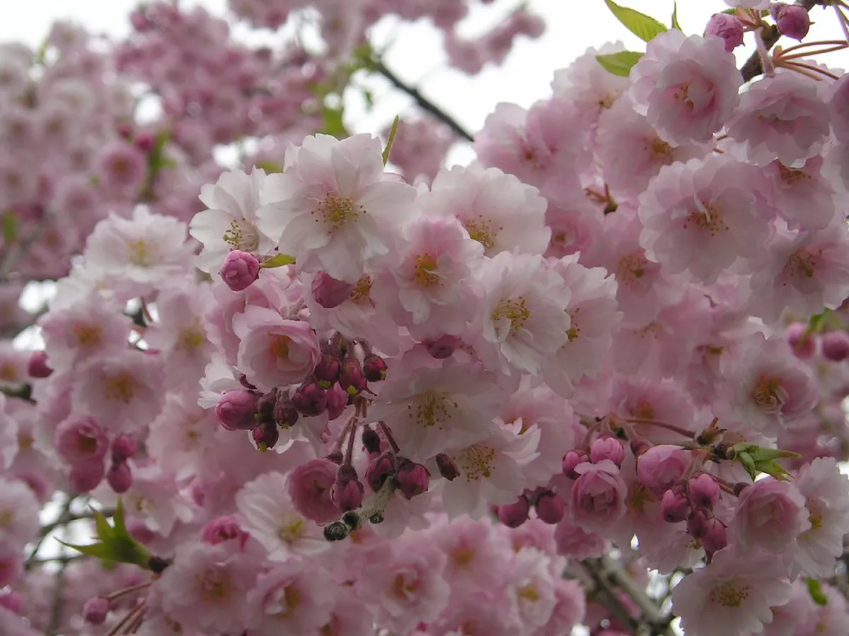 Pick Sendai If: Traveler Type Recommendations in Sendai
