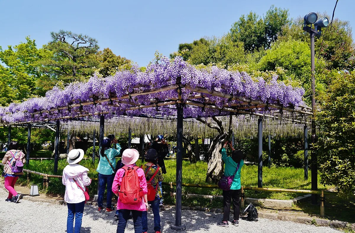 Best time to visit Uji by season — 1