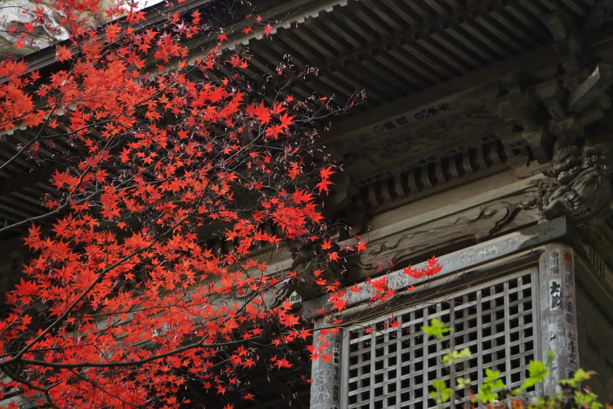 Spring in Yamadera (March - May) in Yamadera
