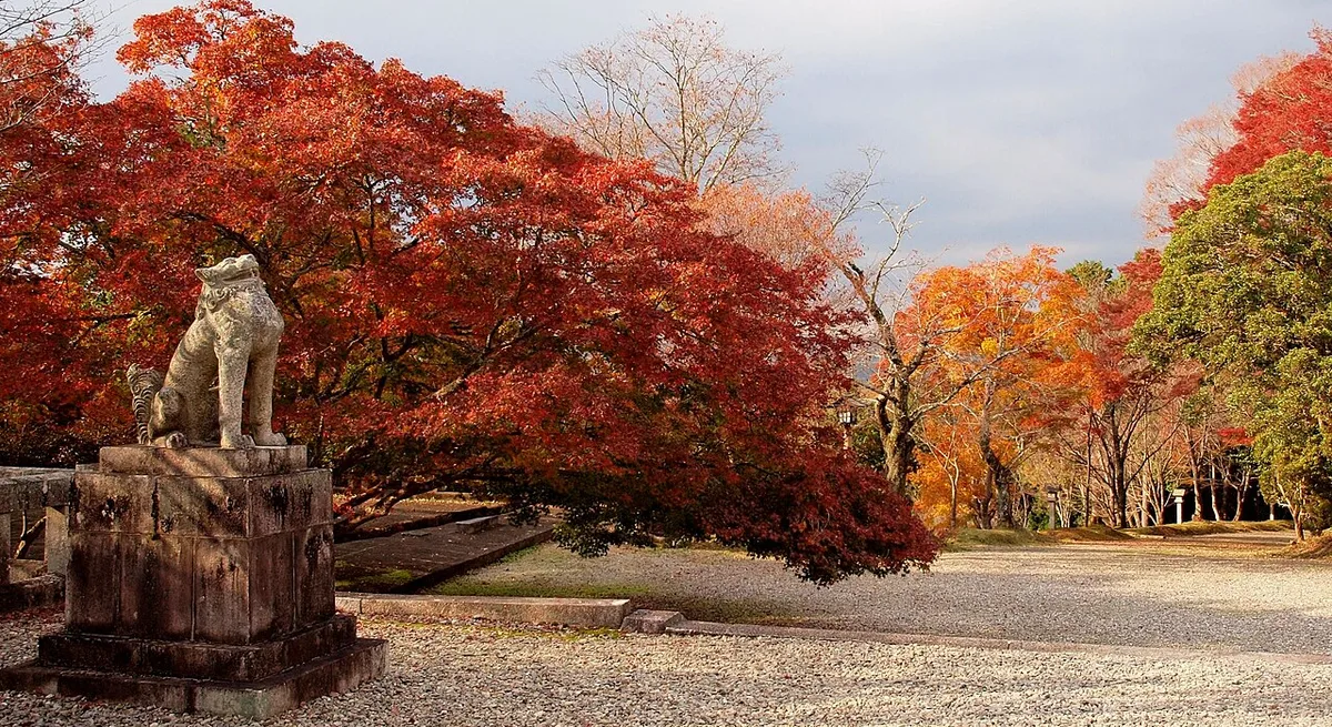 Yoshino seasons Japan — 1