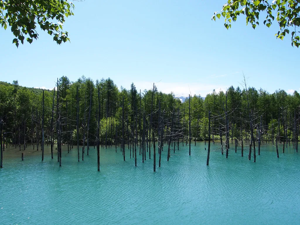 Biei Blue Pond Hokkaido