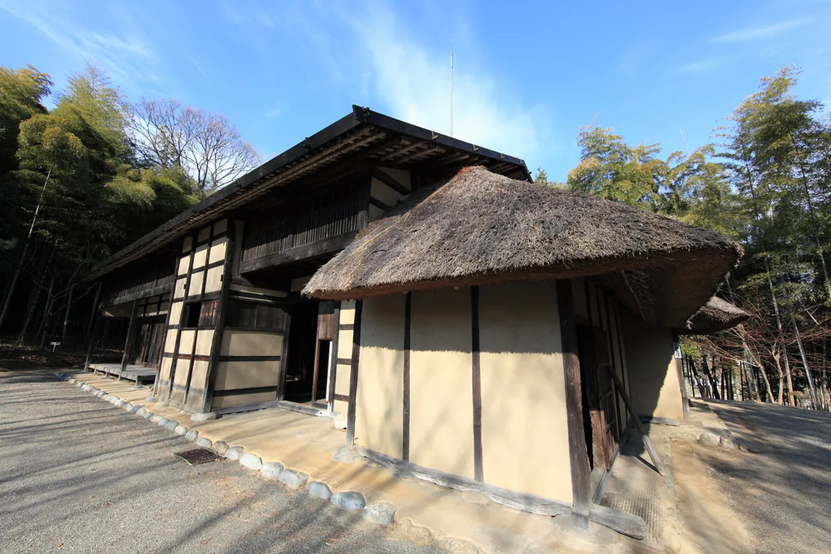 Practical Logistics: Hours, Cash, and Ordering Phrases in Chichibu