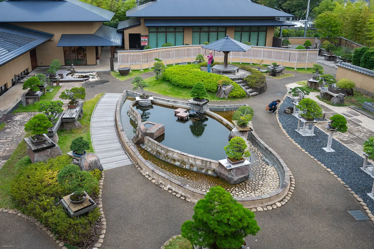 Why Chichibu Is Japan's Soba and Mountain Vegetable Country