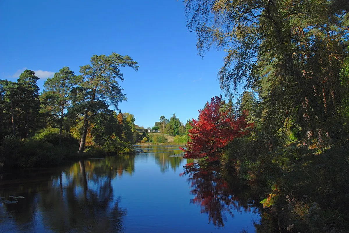 Timing Your Visit and Pairing It With the Onsen in Chichibu