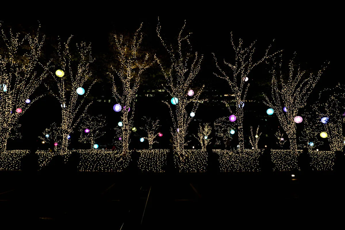 Is Christmas in Tokyo Worth Planning a Trip Around?
