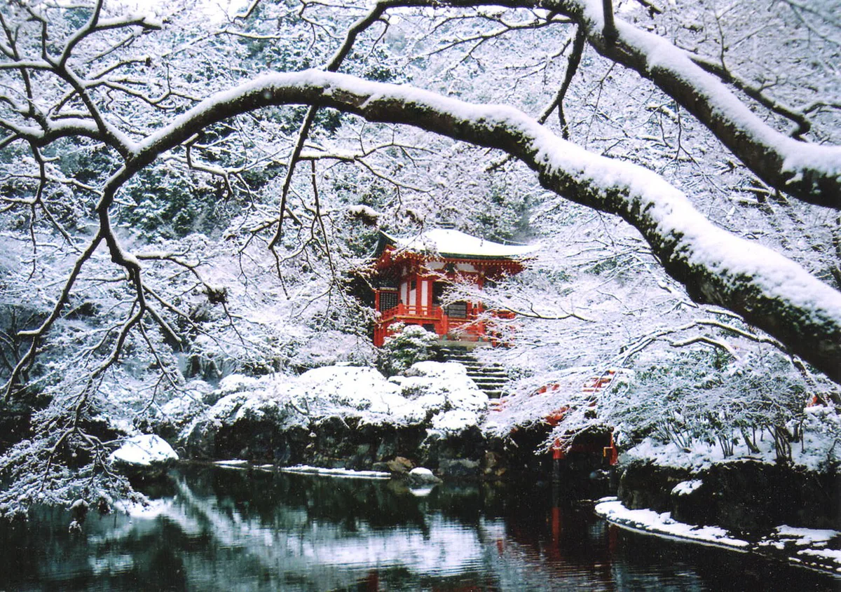 Bentendo hall and autumn leaves at Daigoji Temple, Kyoto, Japan — 1