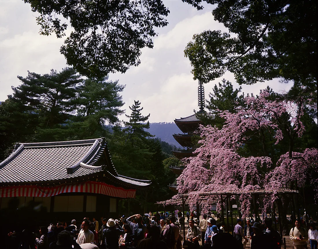 Bentendo hall and autumn leaves at Daigoji Temple, Kyoto, Japan — 2
