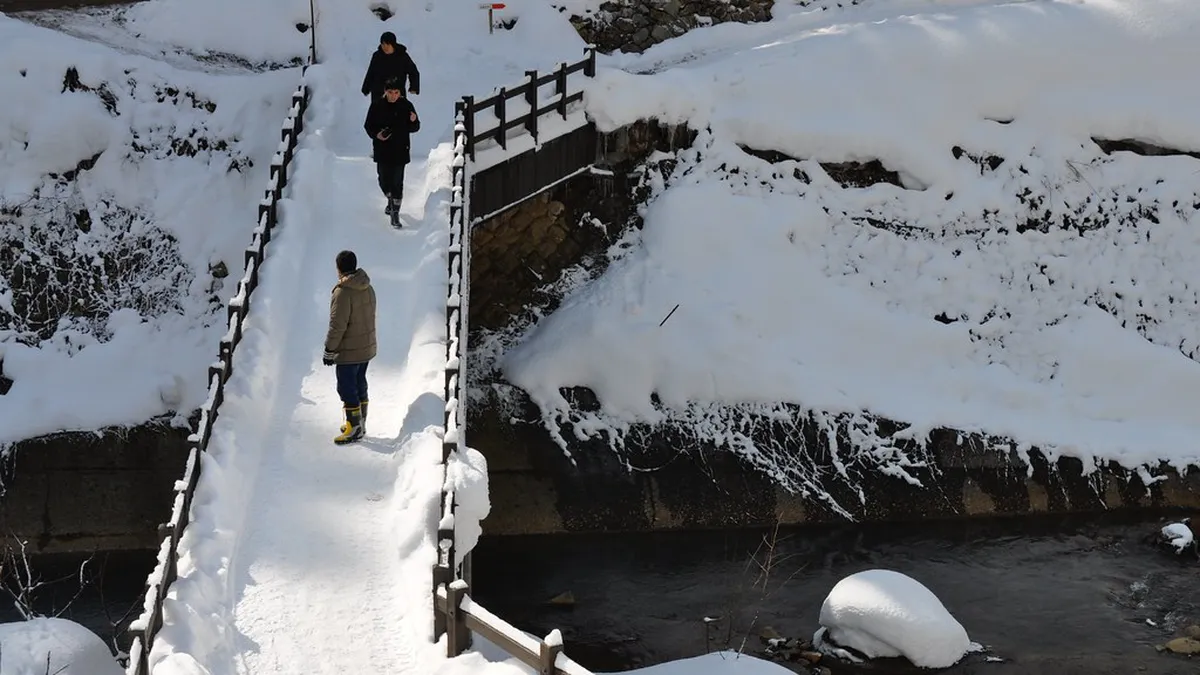 Jigokudani Wild Snow Monkey Park — Nagano