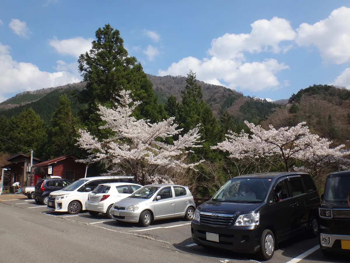 奥祖谷二重かずら橋入口.jpg