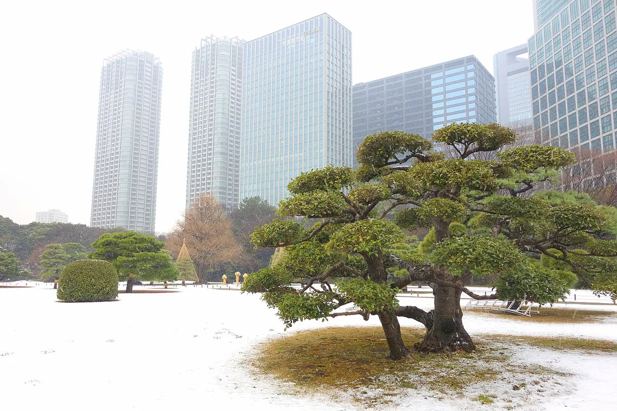 Light snowfall dusting a Tokyo street near Tokyo Tower, Japan — 2