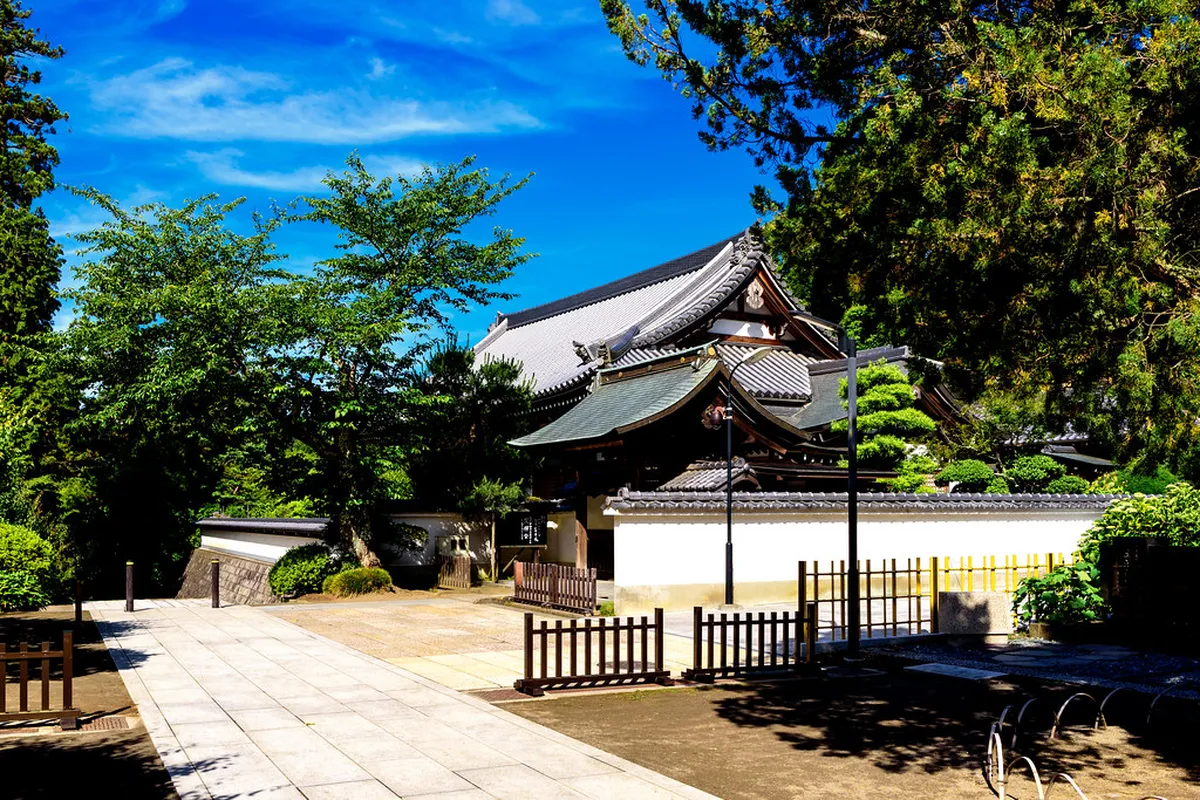Engakuji Temple grounds in Kamakura showing the historic stone pathway and cedar trees leading through the medieval Zen complex