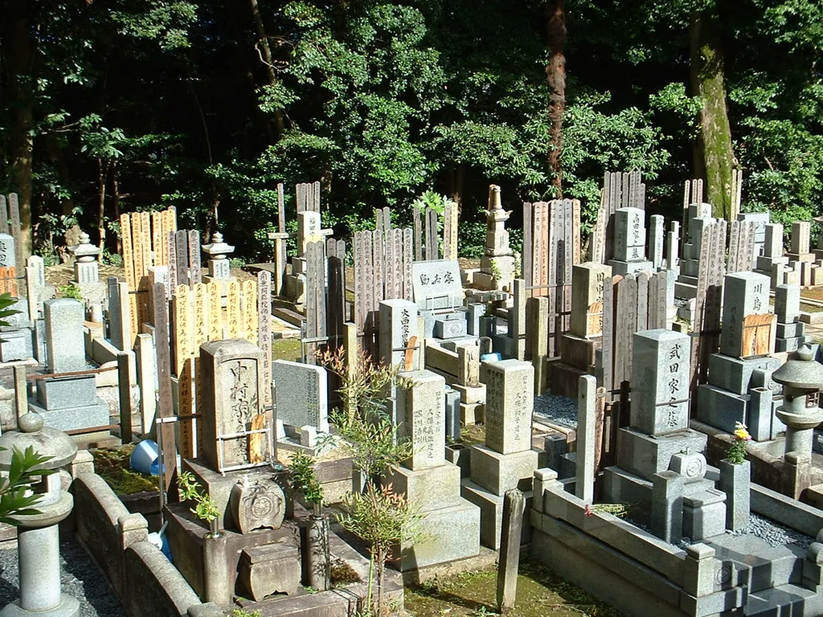 What to Skip: Overrated Stays for Families in Kyoto, Japan