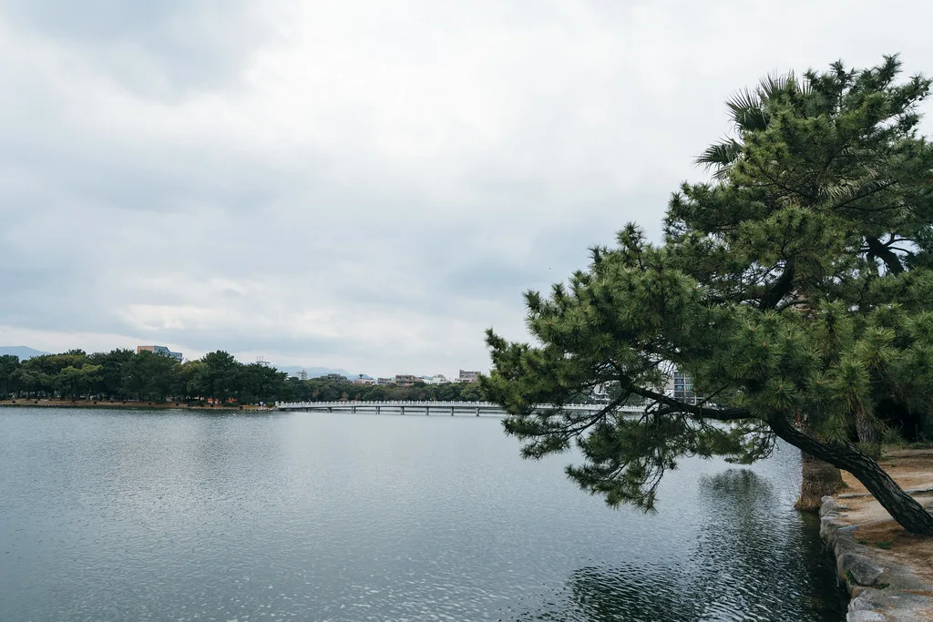 Ohori Park lake and walking path in Fukuoka on a clear morning