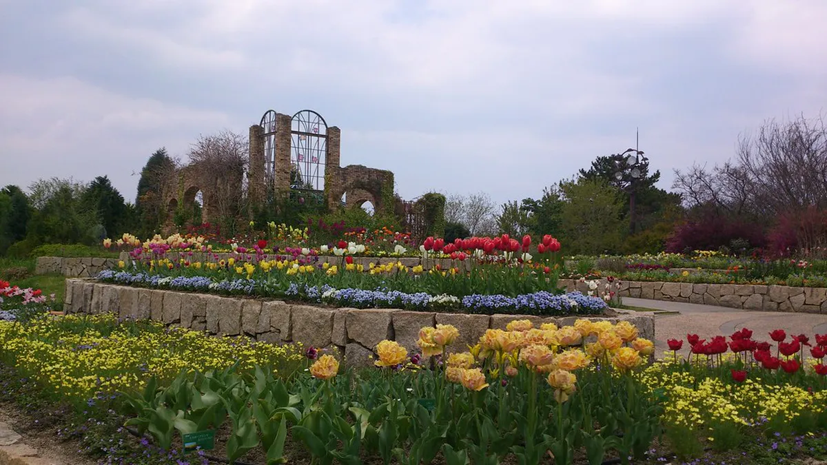 Uminonakamichi Seaside Park in Fukuoka bursting with colorful flowers and green lawns — ideal for families