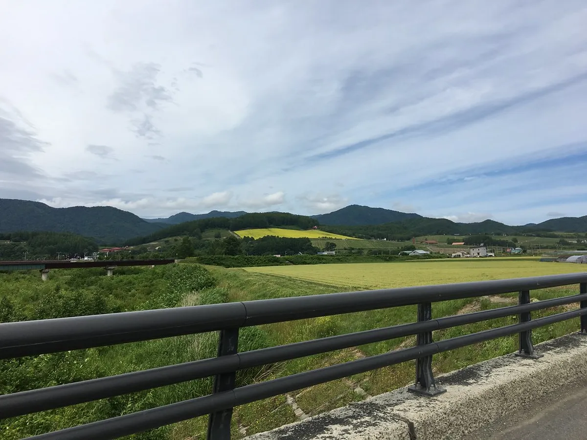 Getting to Furano's Farm Restaurants — a scene in Furano