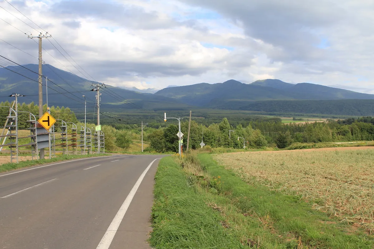 Signature Ingredients That Prove the Sourcing in Furano
