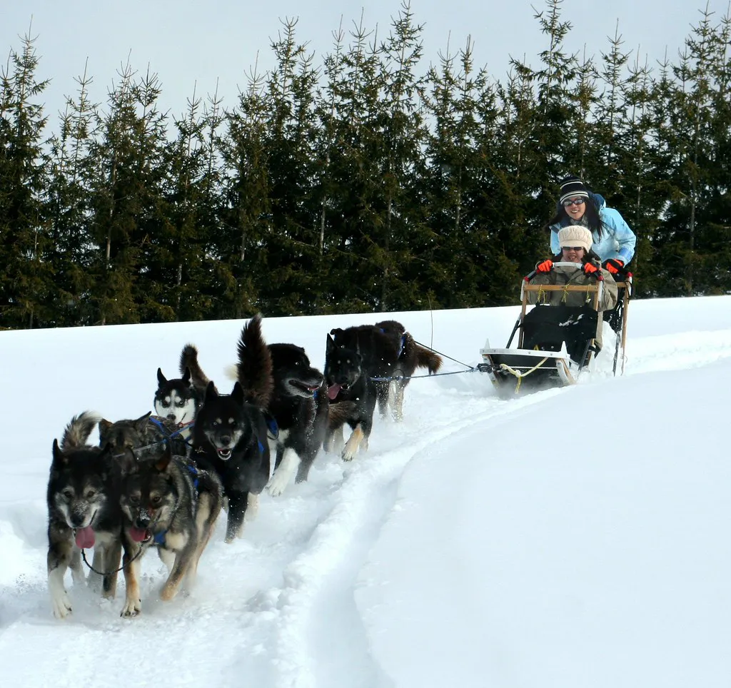 Furano snow Hokkaido