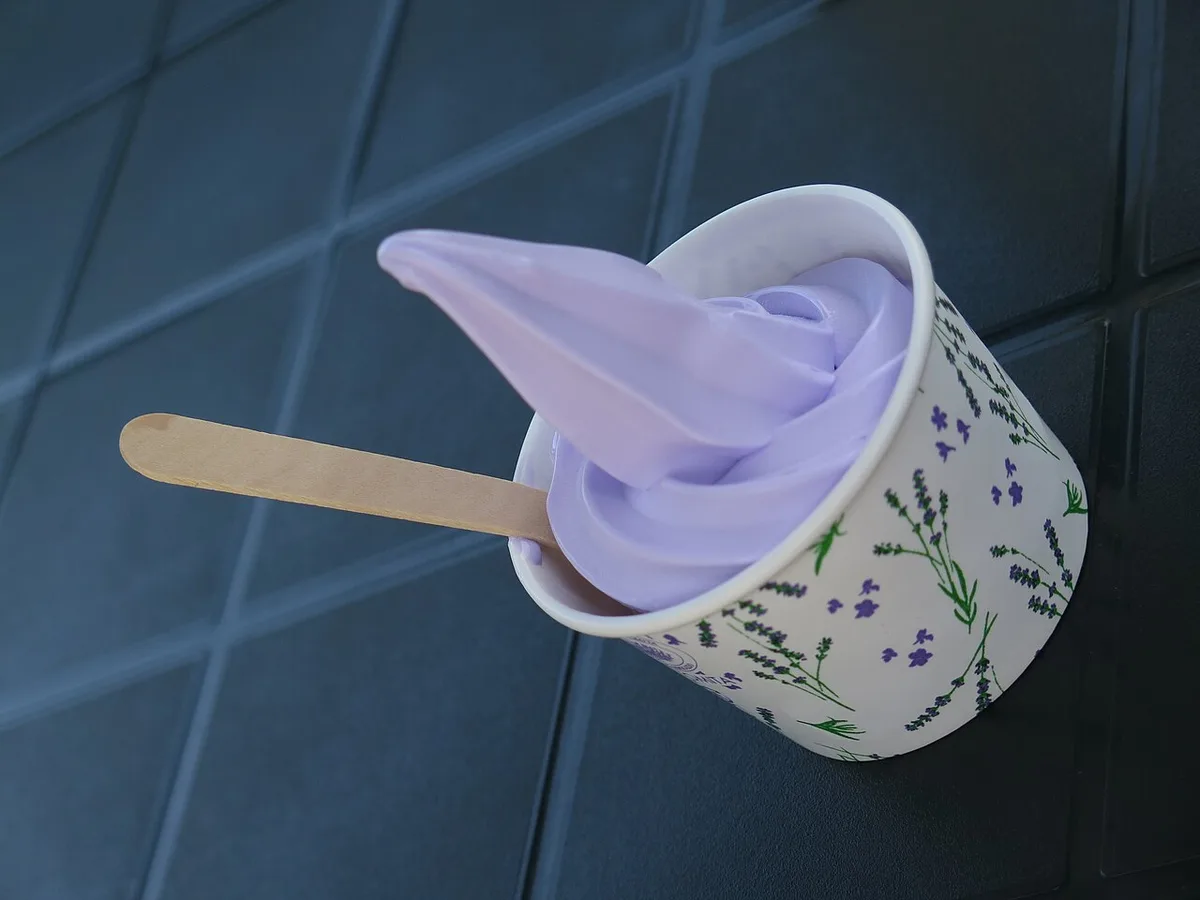 Orange Furano melon and lavender soft serve at a Hokkaido farm, Japan — 1