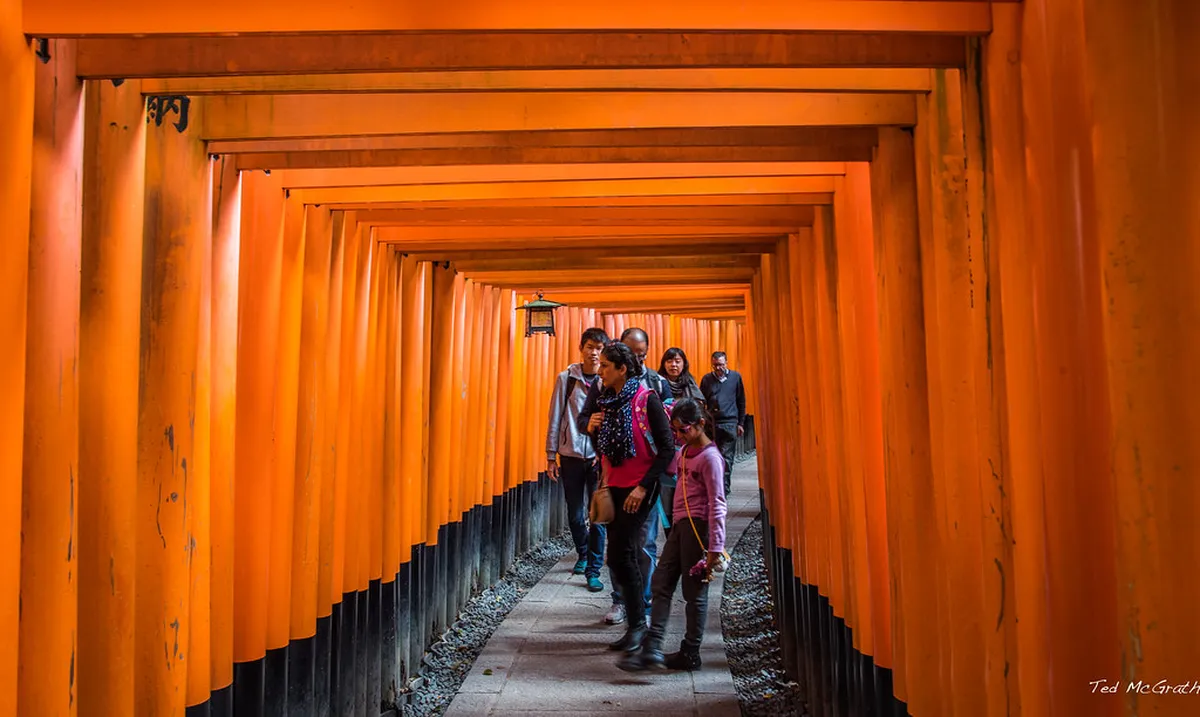 Stone-paved mountain trail winding through torii gates and cedar forest on Mount Inari at Fushimi Inari Taisha, Kyoto, Japan