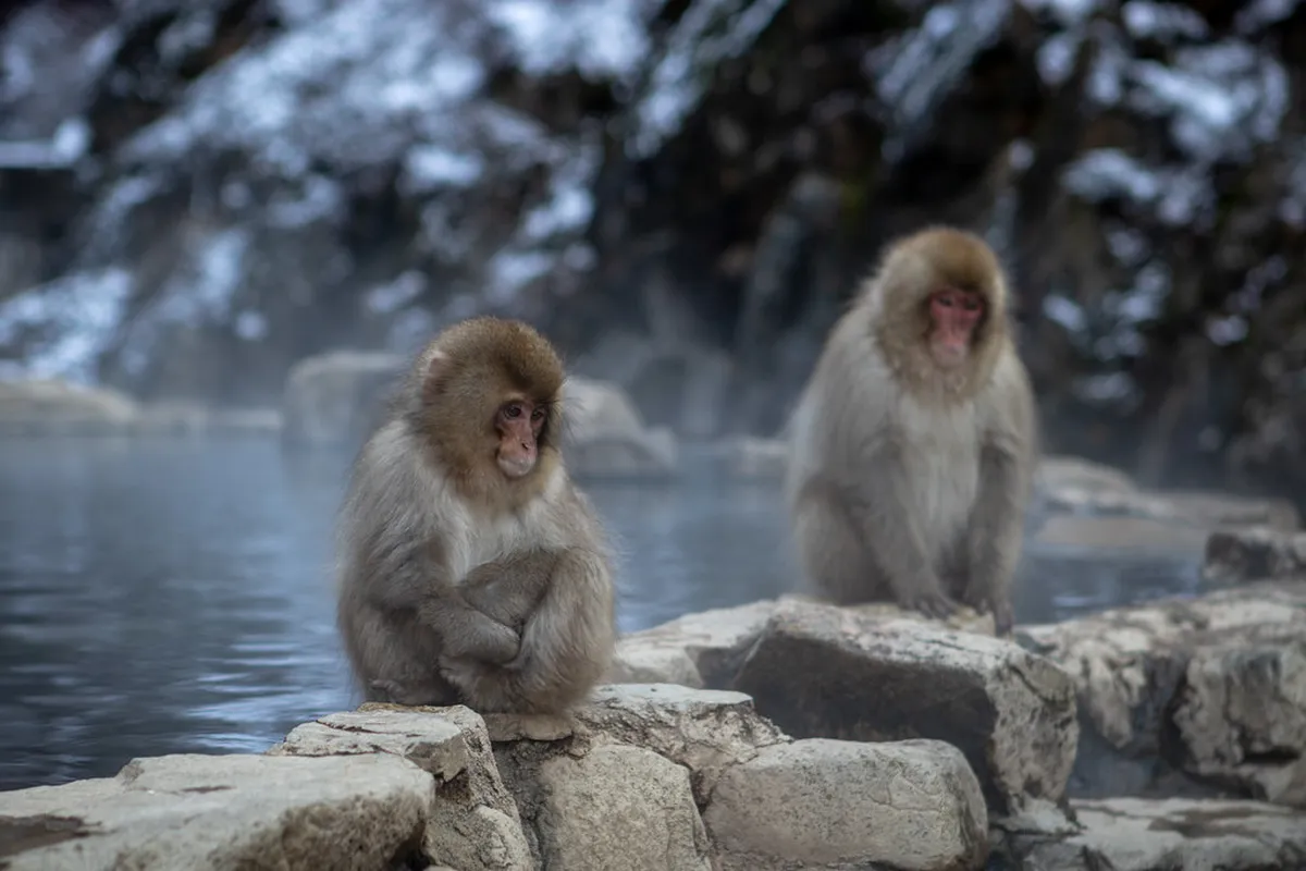 How to Get to Nagano — Nagano
