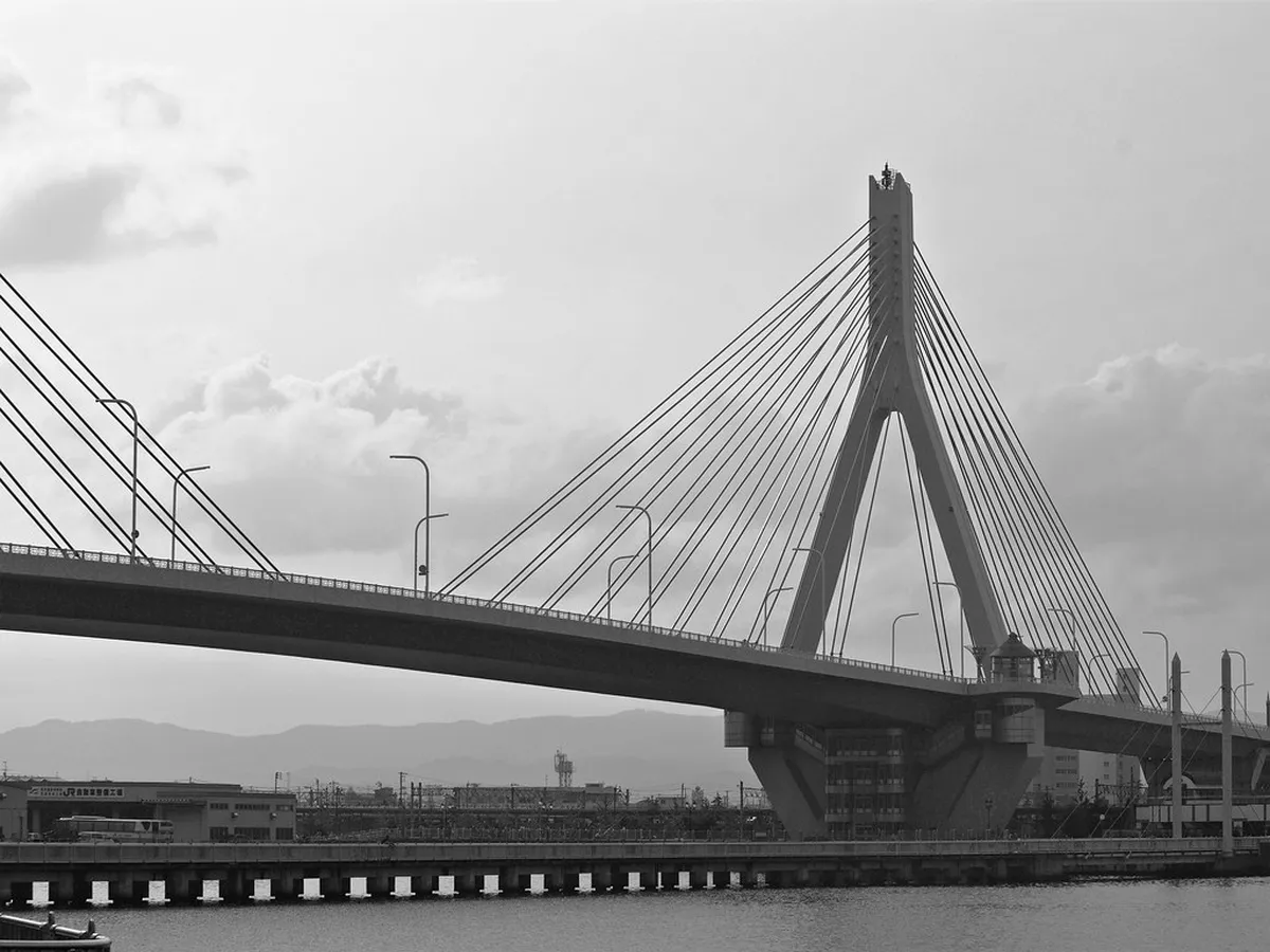 Choosing Daytime or Night Performances in Aomori