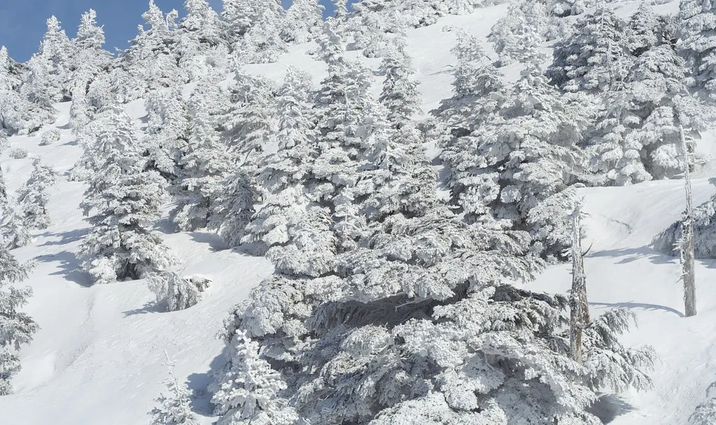 Hakkoda winter snow Japan — Aomori, Japan