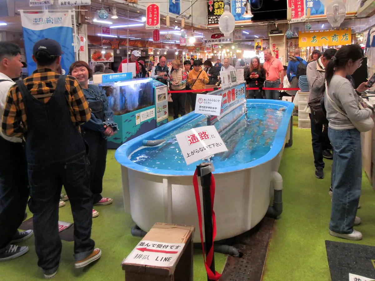 Morning market in Hakodate, Hokkaido
