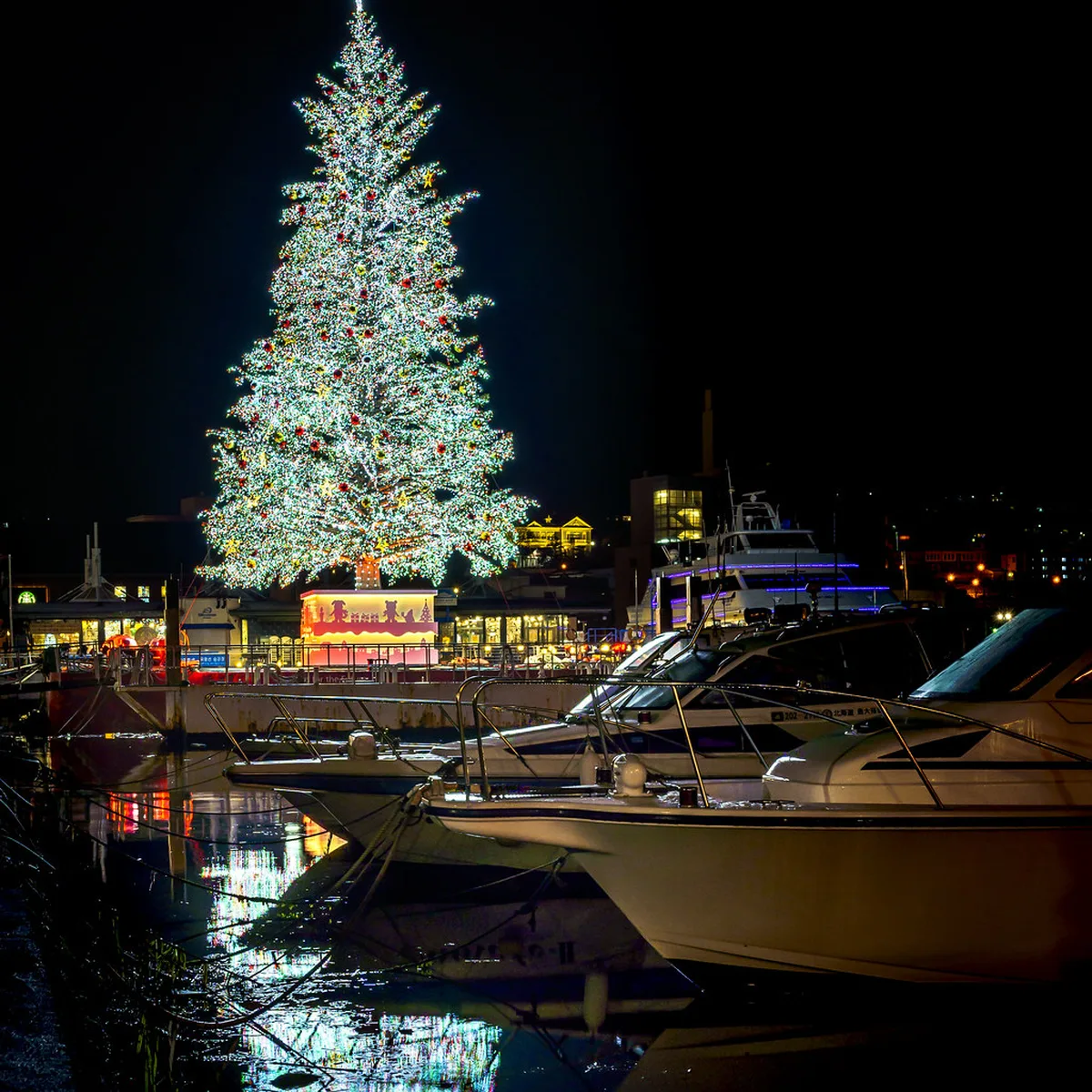 Winter illumination in Hakodate, Hokkaido