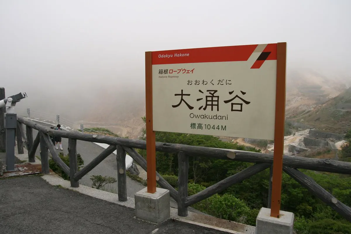 Getting to Hakone: From Tokyo, Odawara & Kansai - Hakone