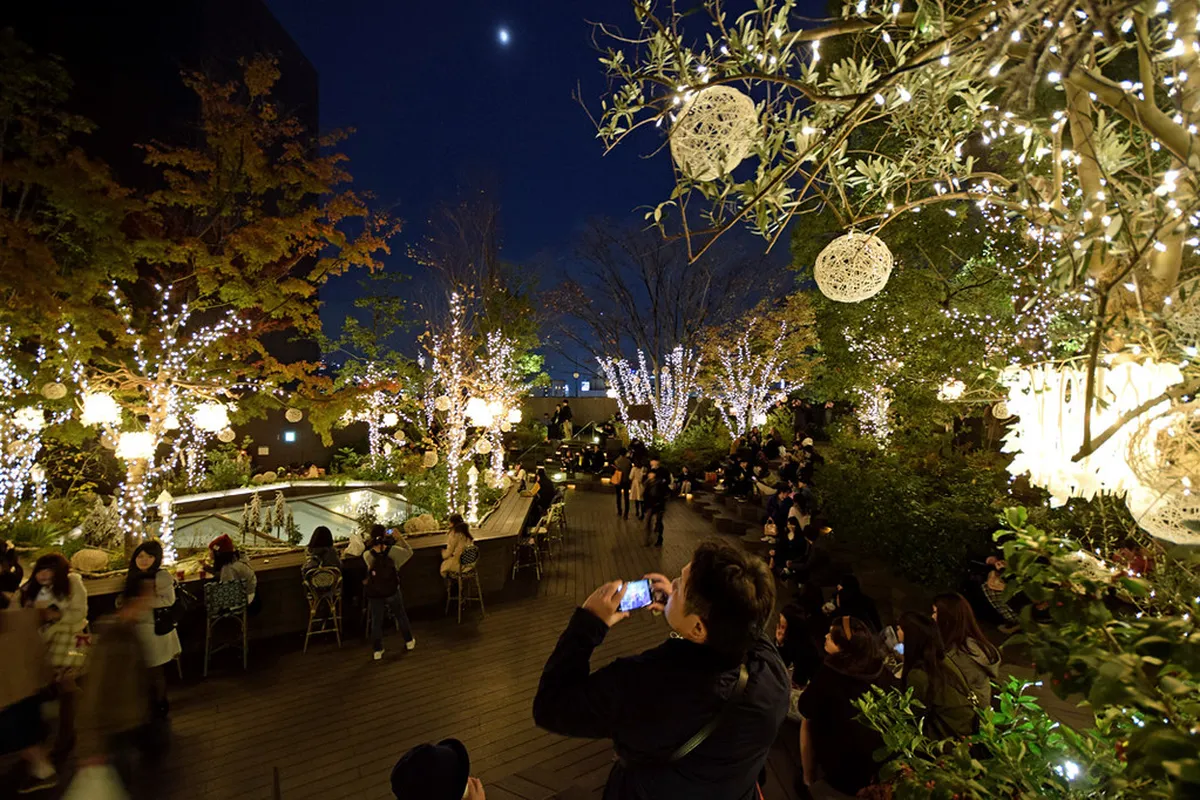 Omotesando Avenue zelkova-lined boulevard with flagship stores and pedestrians in Tokyo, Japan