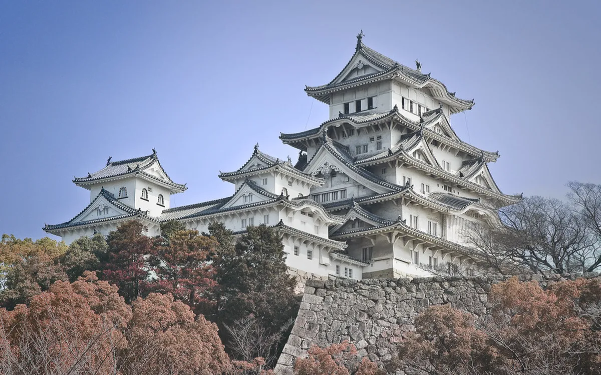 Where to Find the Best Himeji Anago Restaurants
