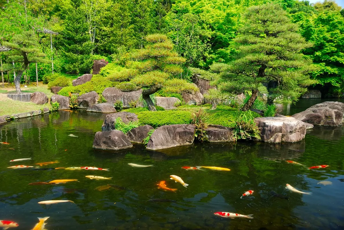 SORA NIWA and Yakiniku Senzankaku: Castle Views and Group-Friendly Alternatives in Himeji