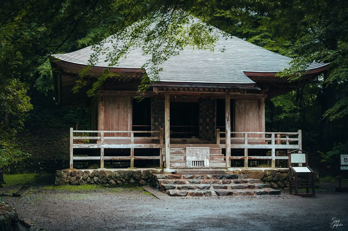 300+ Varieties: Savory, Nut-Based, and Sweet Mochi Explained in Hiraizumi