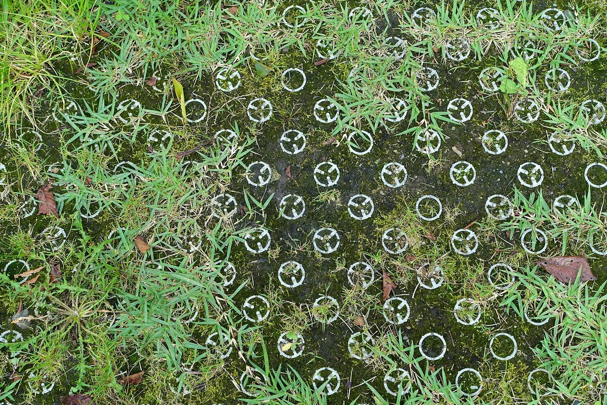 Underfoot - Hiraizumi, Iwate - DSC05046.jpg