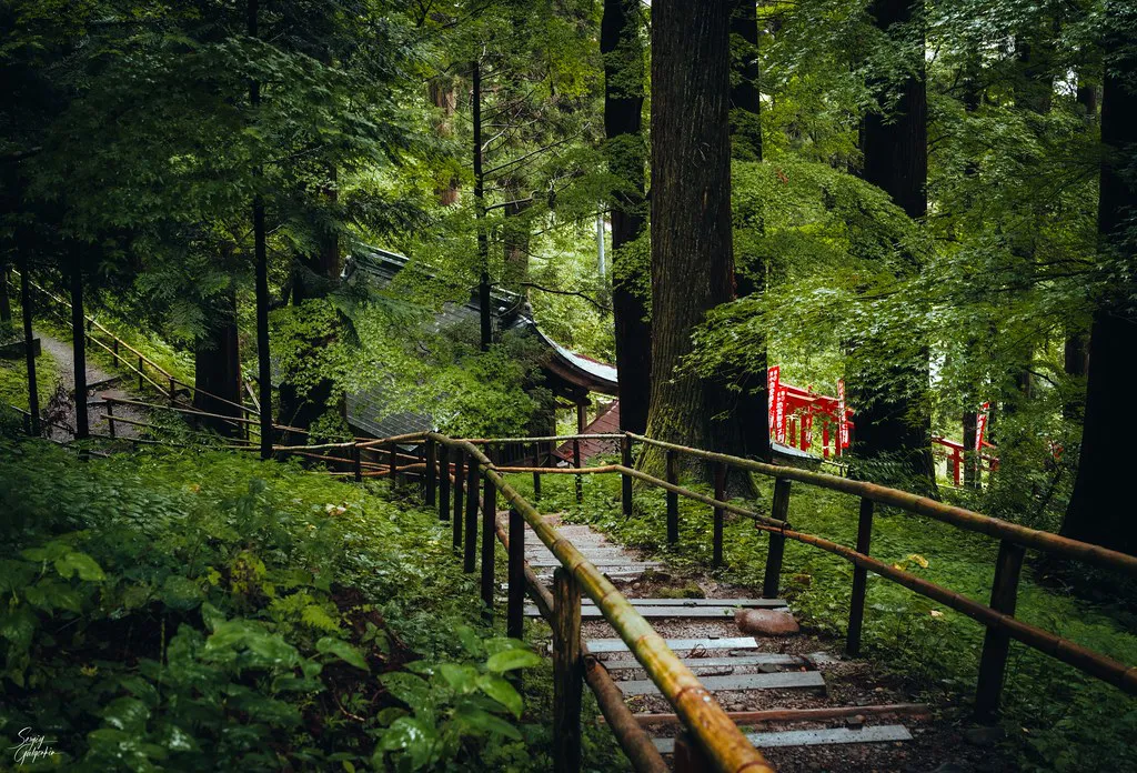 Hiraizumi temple path — Hiraizumi, Japan