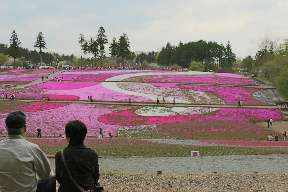 Beyond the Park: Exploring Chichibu's Nearby Attractions