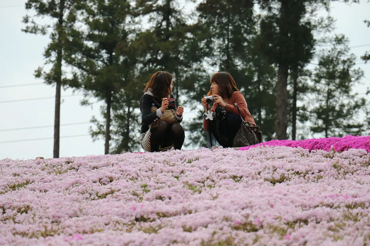 Hitsujiyama Park