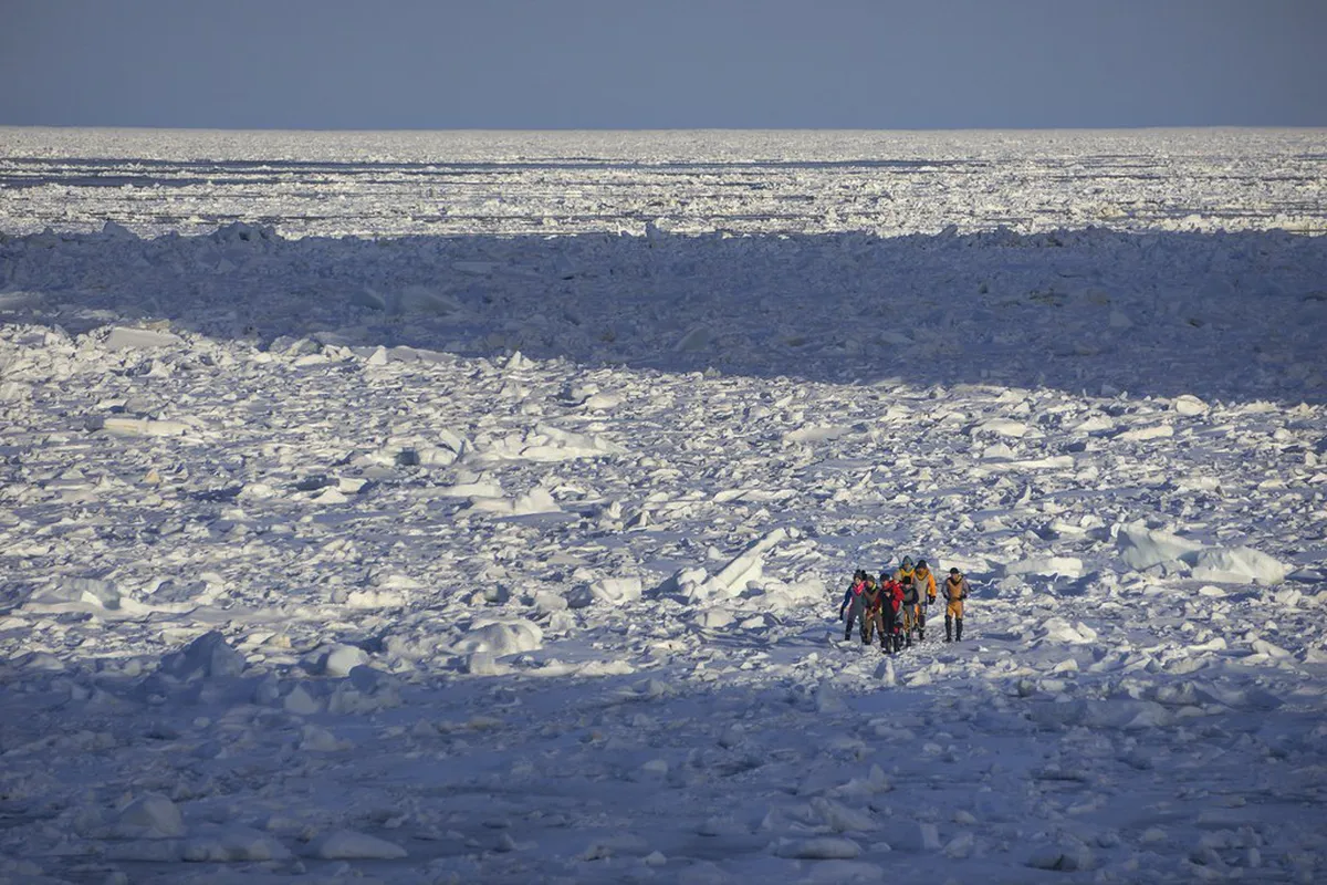Early, Mid, or Late November: Which Half Should You Book? in Hokkaido