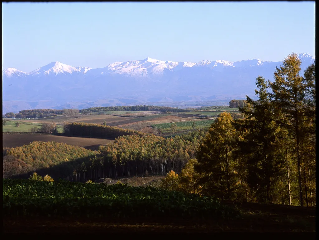 Biei hills Hokkaido