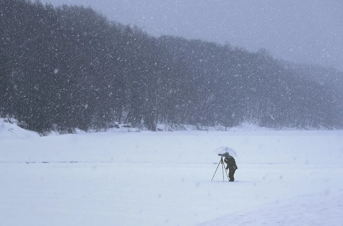 Add Biei and Asahikawa for a Non-Ski Winter Route in Hokkaido