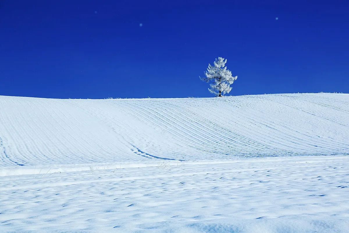 Blue Sky And White World (131608635) — 1