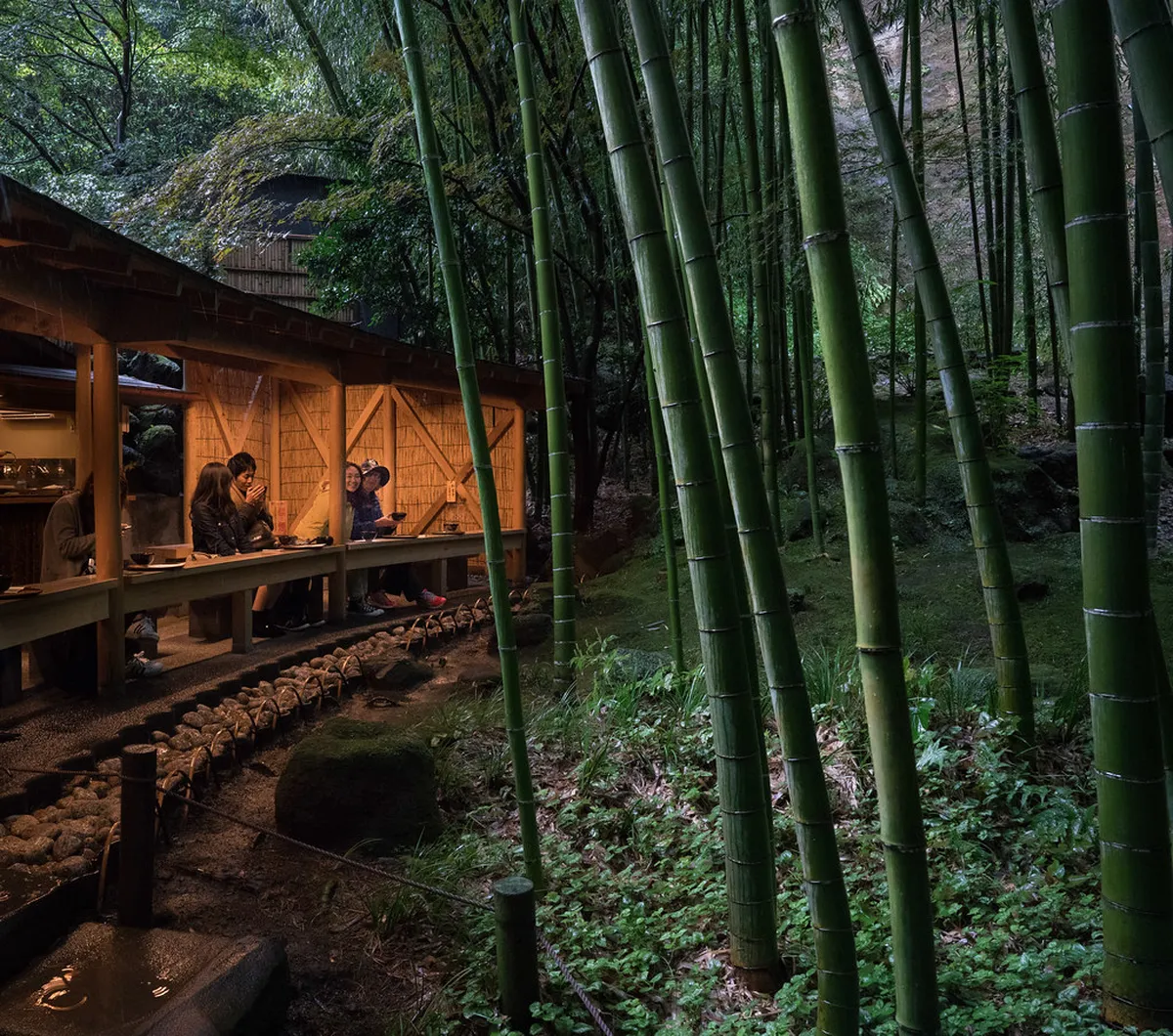 Bamboo grove at Kamakura temple glowing with green light filtered through dense stalks in Japan