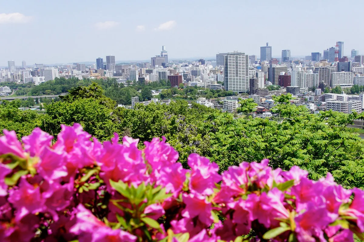 Sendai in 2 Days: City Highlights & Matsushima Bay in Sendai