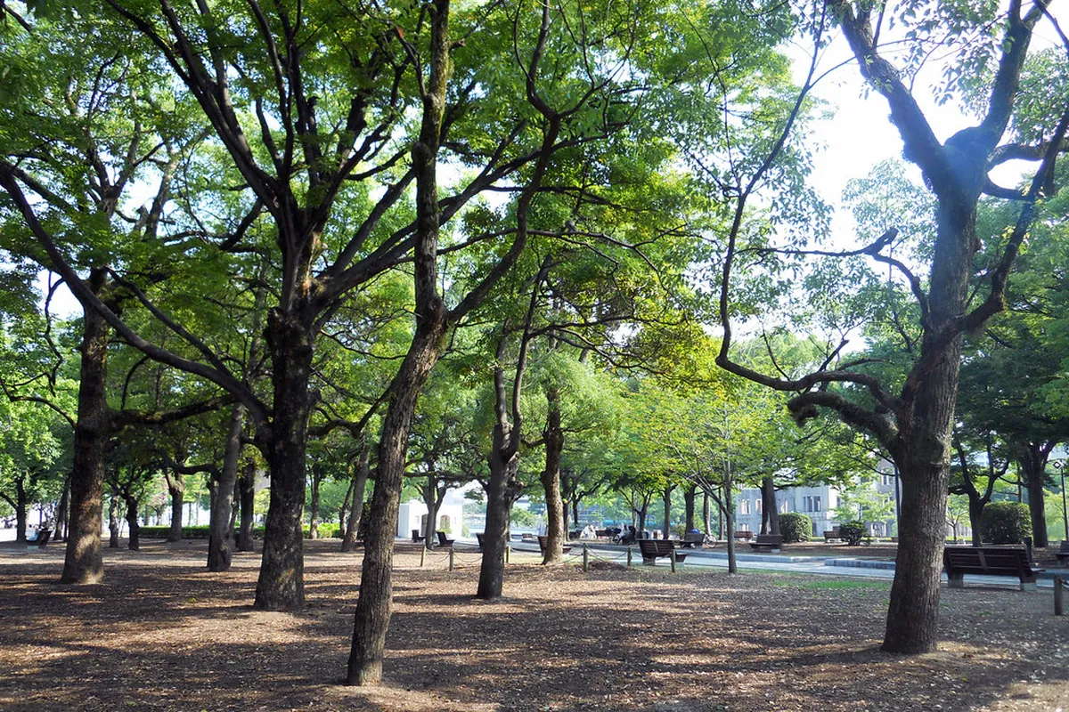 Colorful strings of paper cranes hanging at the Children's Peace Monument in Hiroshima Peace Memorial Park, Japan